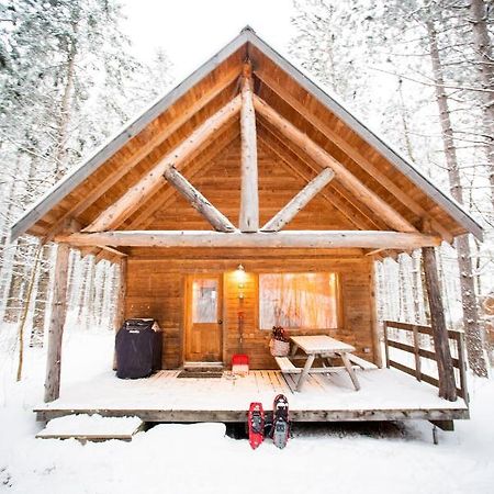 Chalets Huttopia In The White Mountains Albany Exterior photo